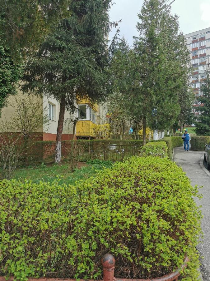 Apartament Maysa Cluj-Napoca Eksteriør billede